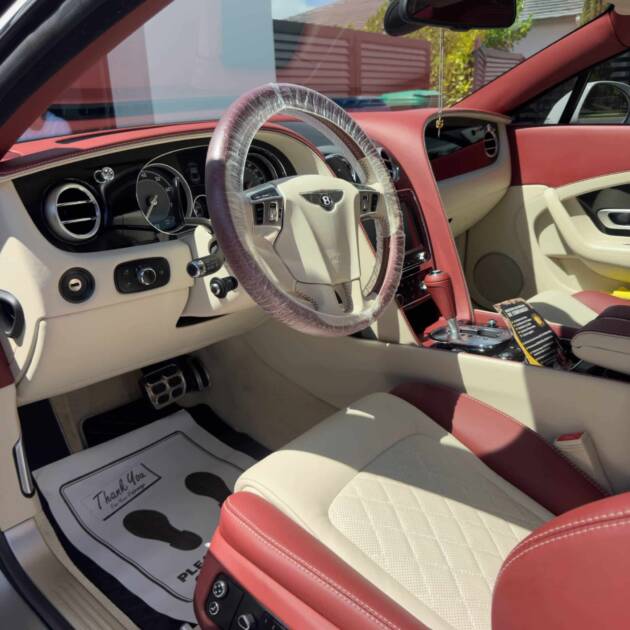 car-Pet-hair-Removal miami