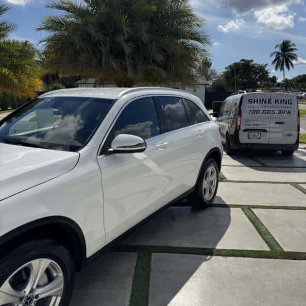 Pet Hair and Sand Removal Cutler Bay