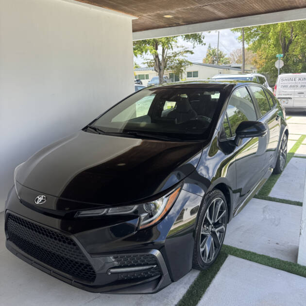 Pet Hair and Sand Removal